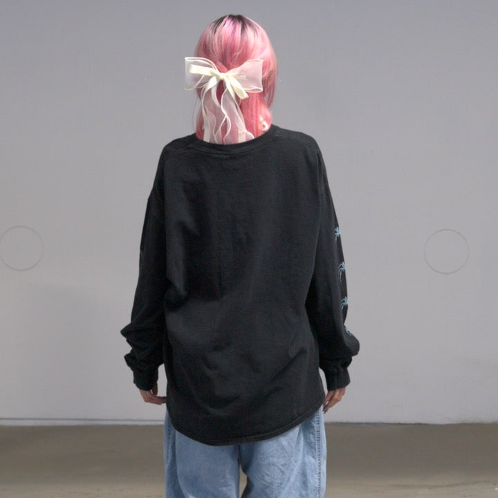 Asphalt Spider Graphic Long Sleeve (XL)