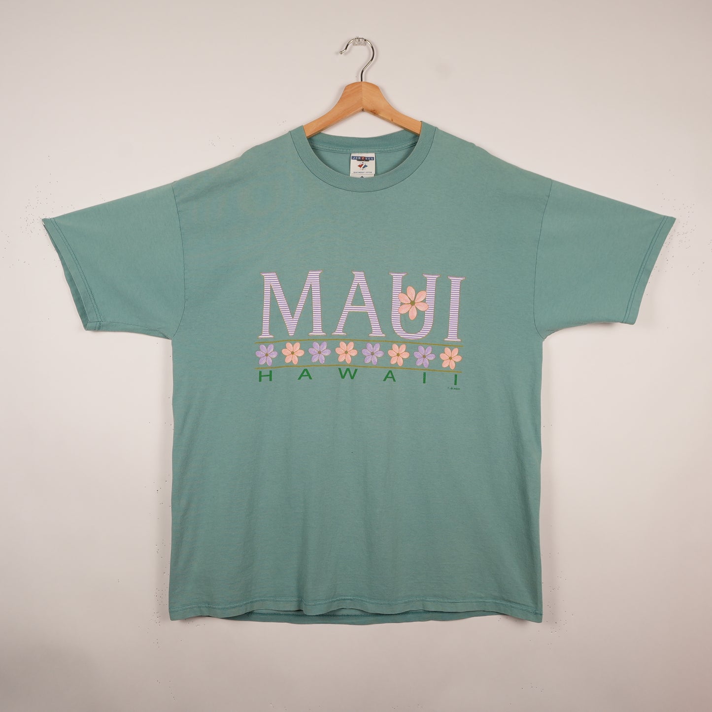 Vintage Maui Hawaii Pastel Green Tee (XL)